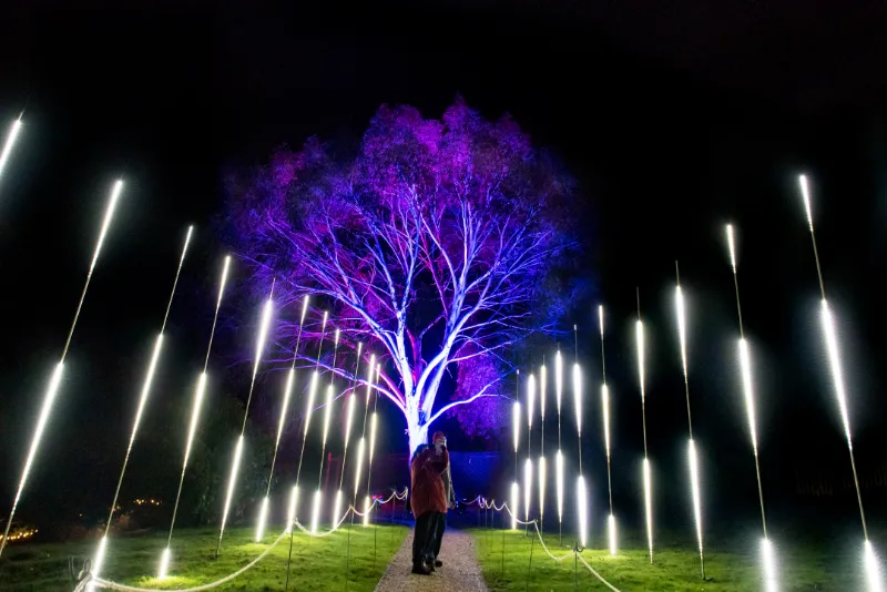 Leonardslee Illuminated