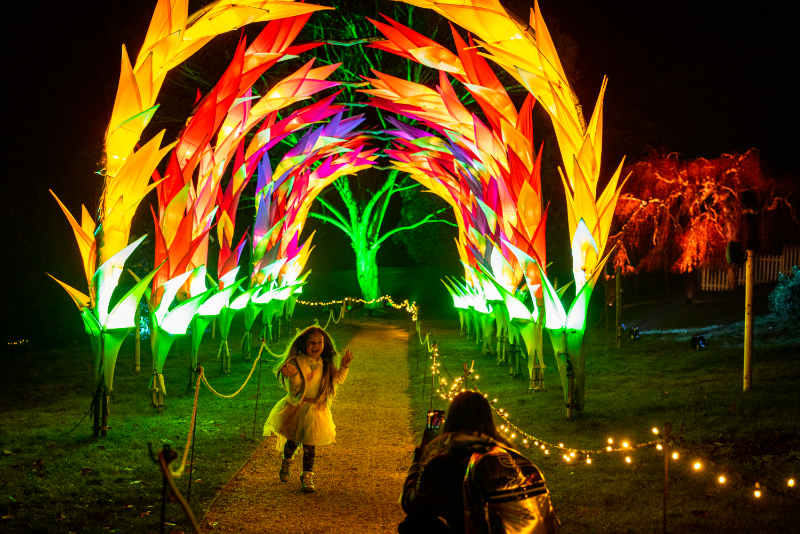 Leonardslee Illuminated 