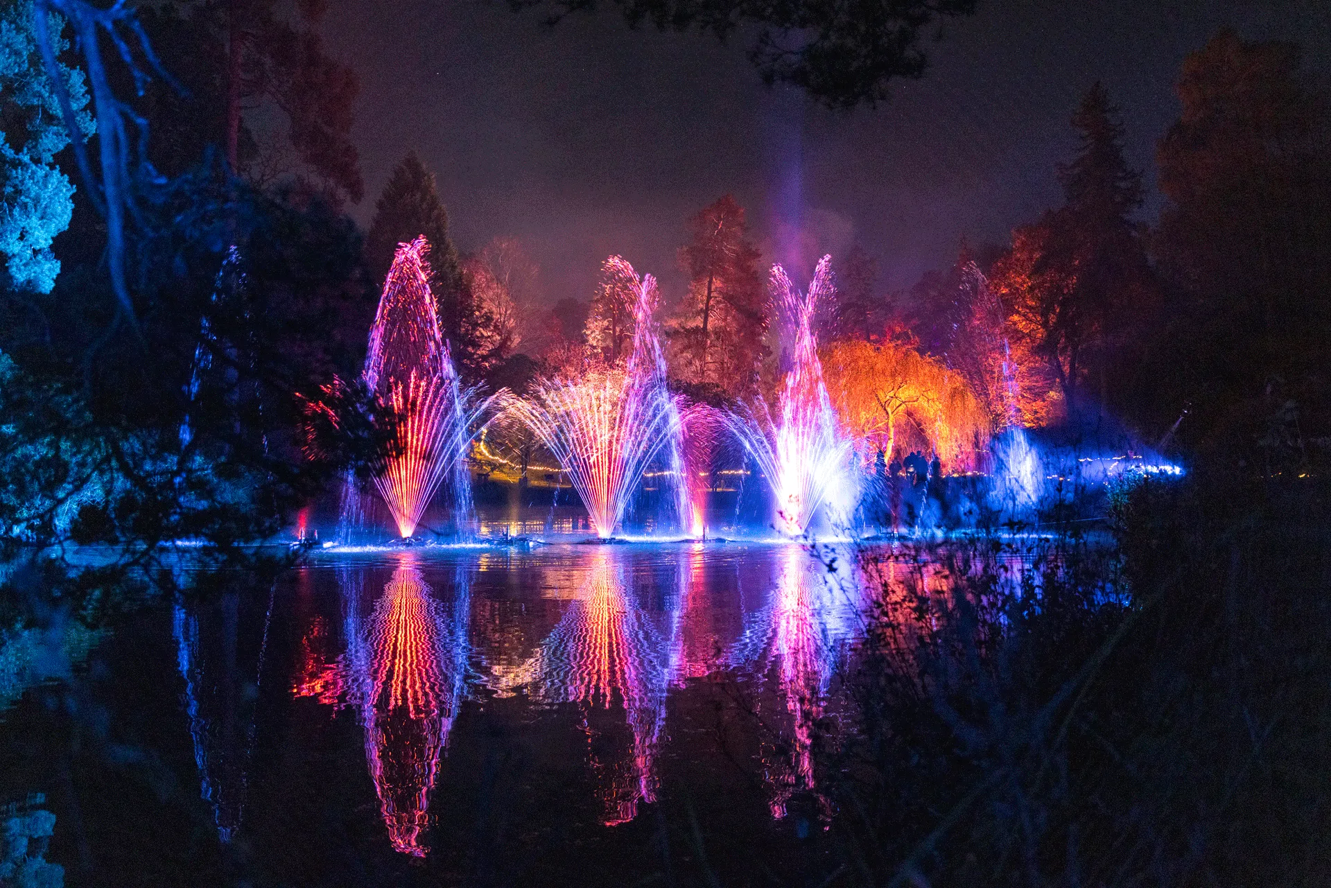 Leonardslee Illuminated