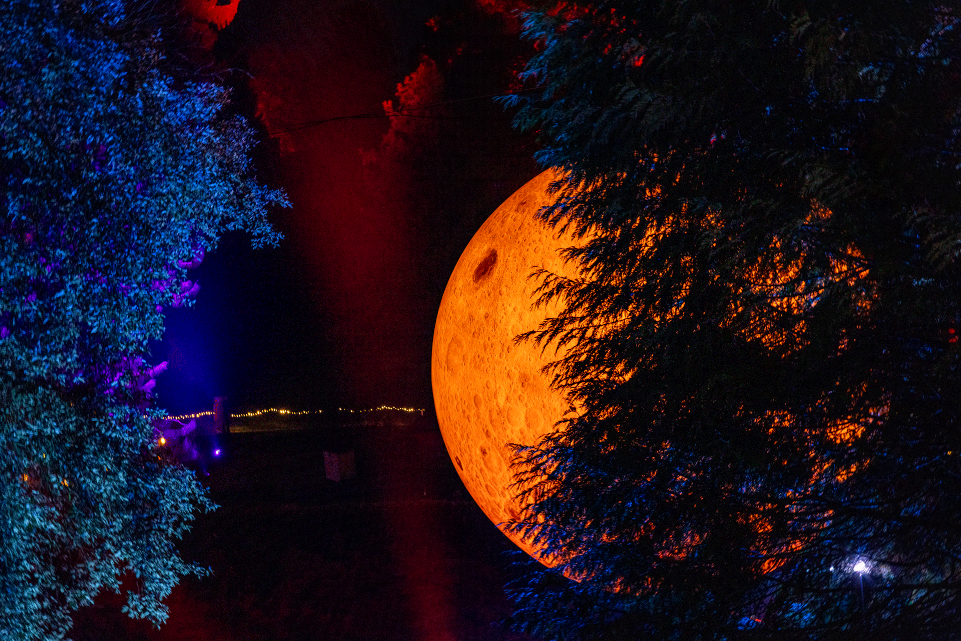 Leonardslee Illuminated 