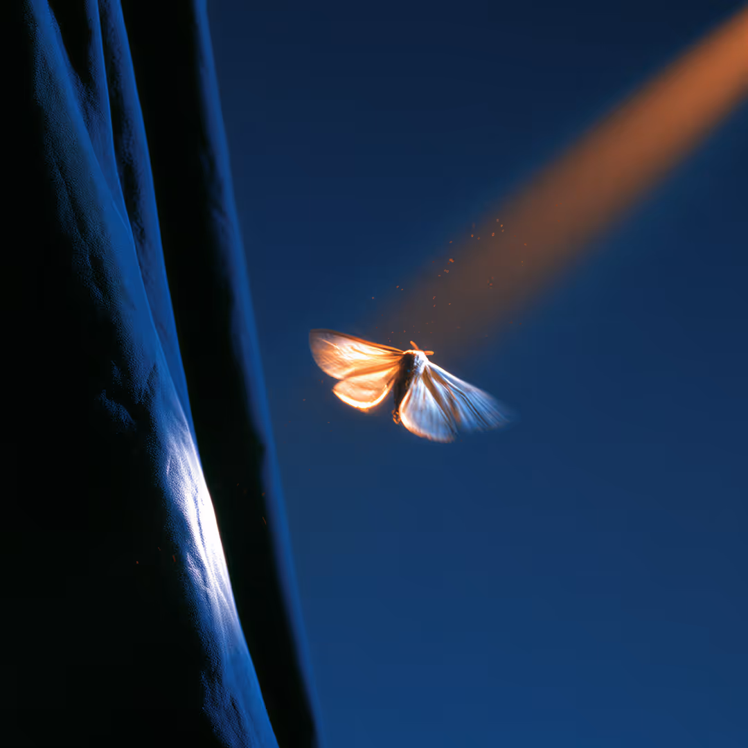 A moth illuminated by a warm beam of light against a dark blue background near a textured surface.
