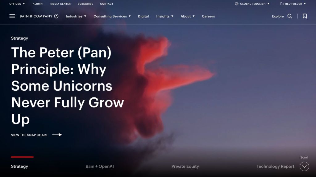 Bain & Company website