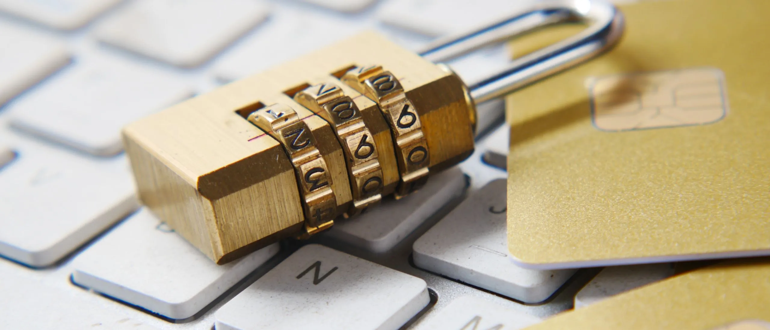 Safeguarding the Bottom Line: Cybersecurity in the Financial Sector