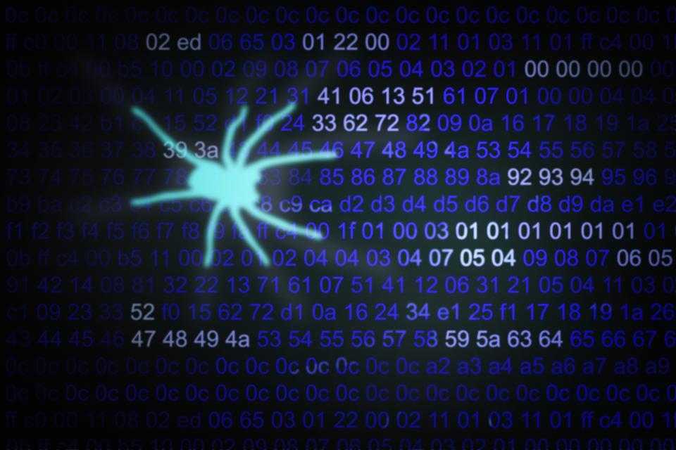 computer spider virus