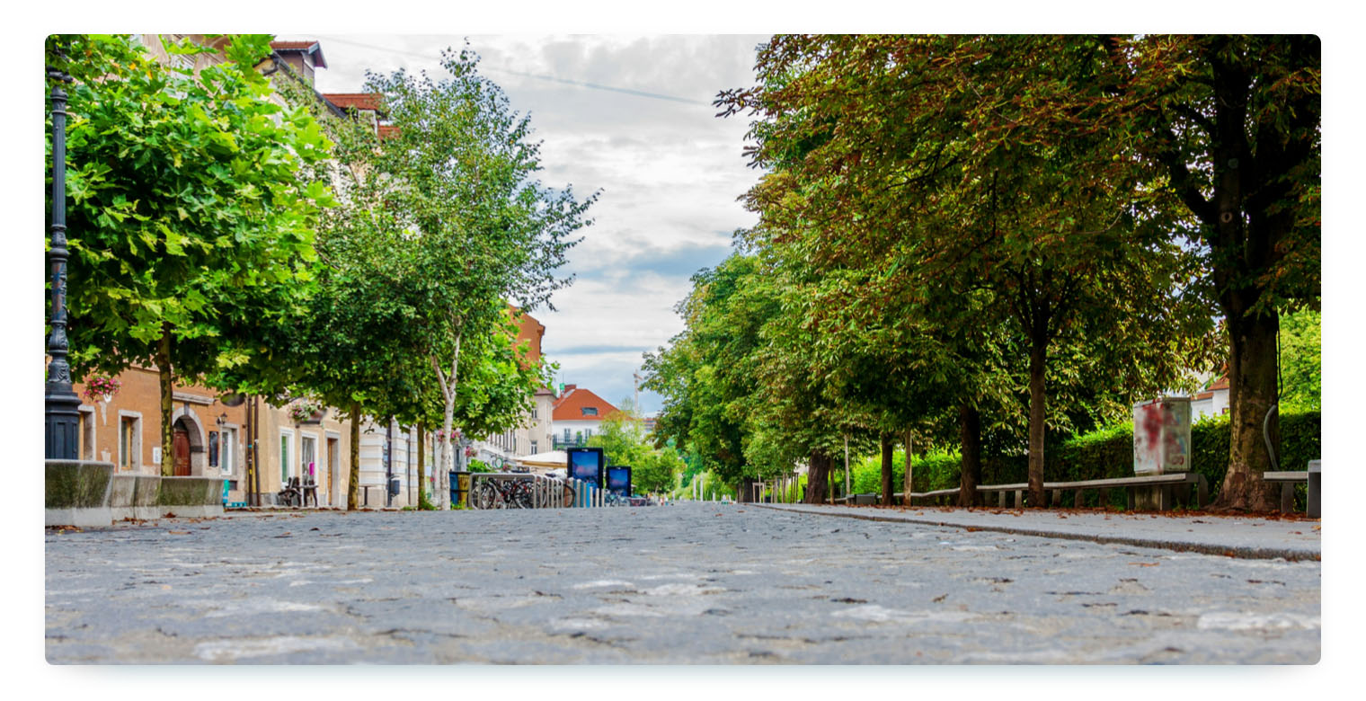 An empty street, free of cars but lined with green trees and benches along the way