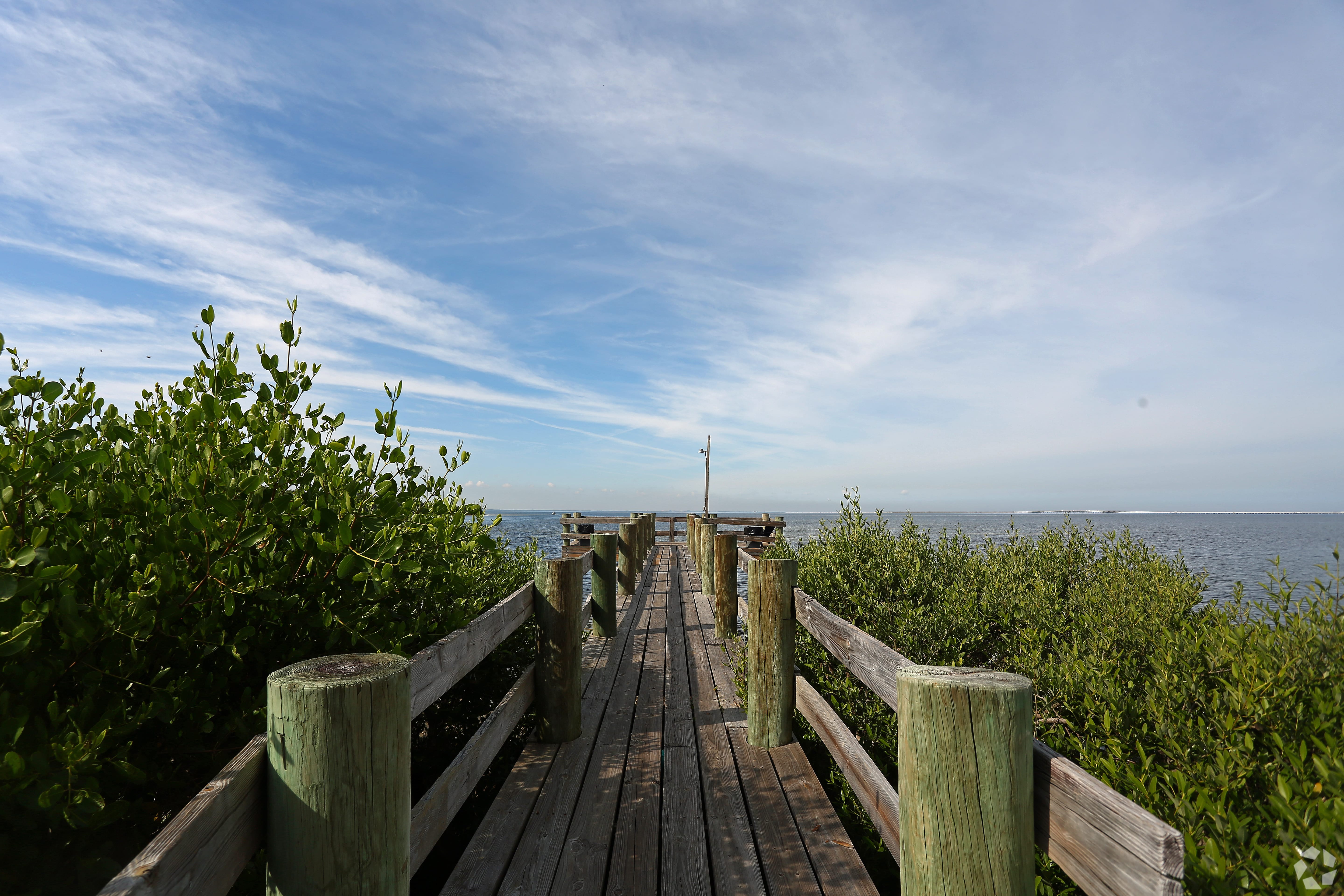 bridge