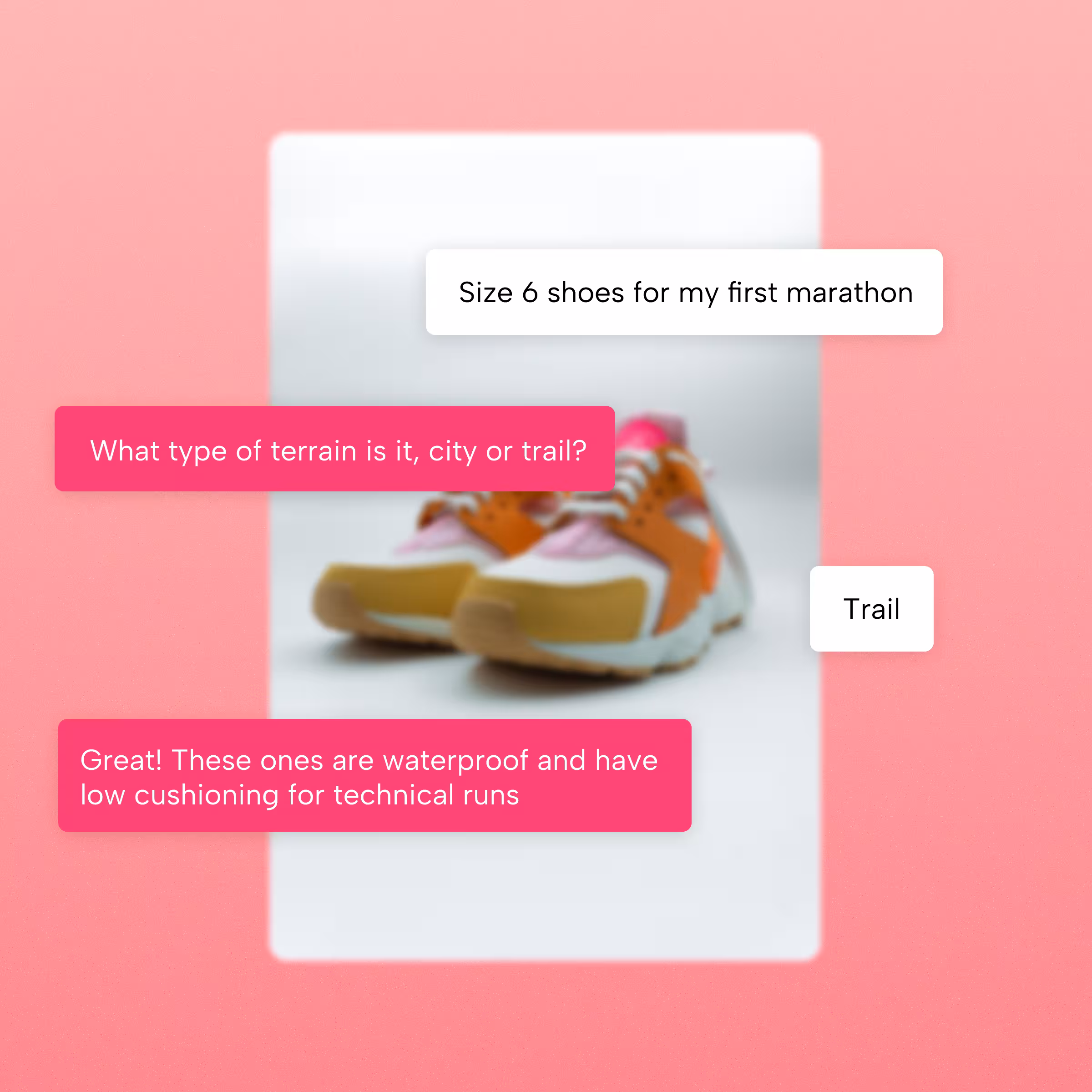 Pako labs ai för e-handel