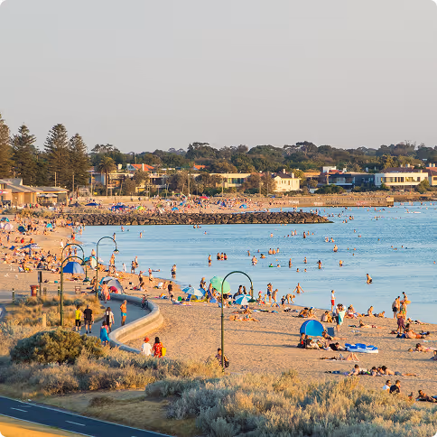 Elwood Image