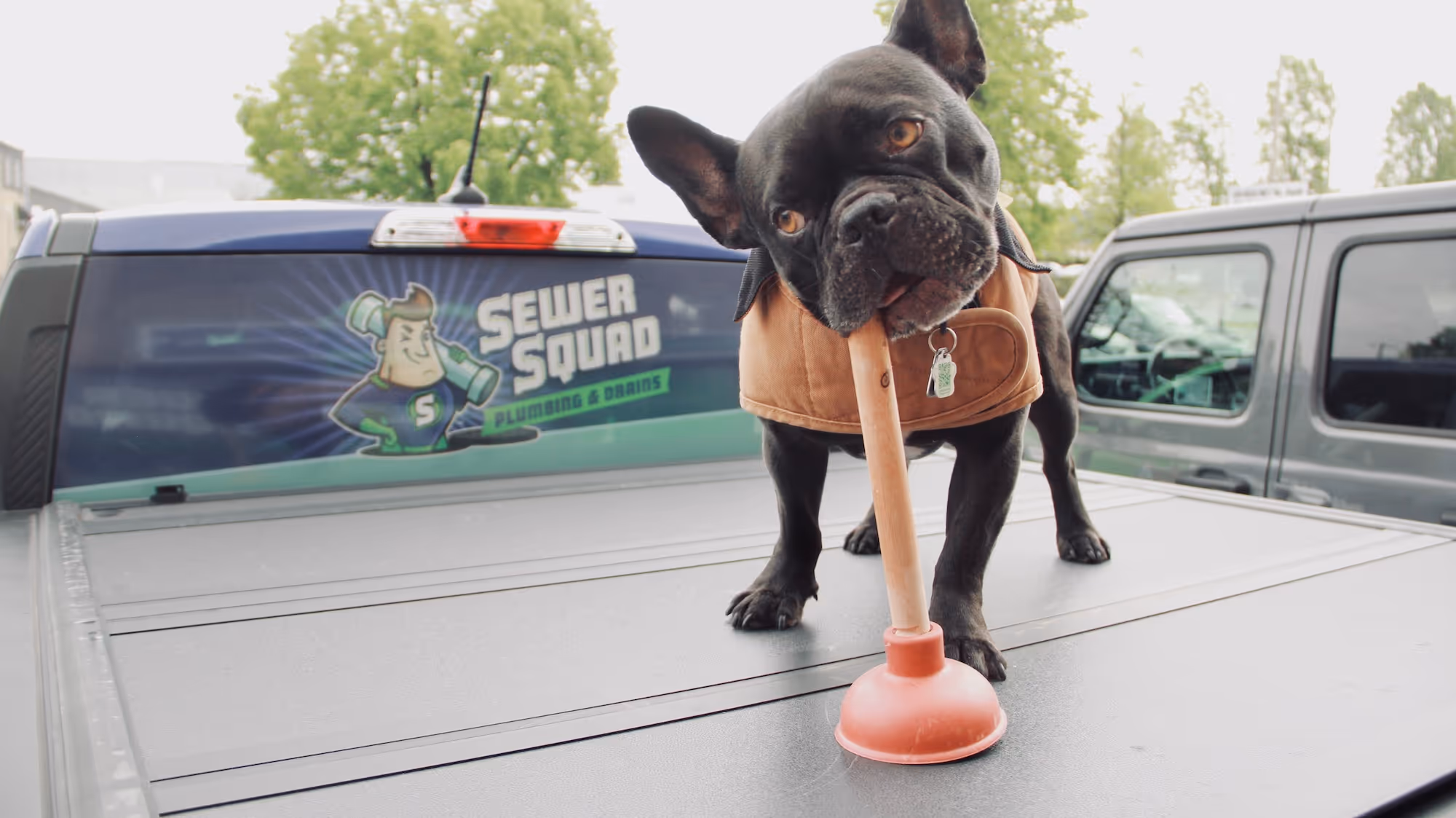 a cute dog chewing on a plunger on a truck