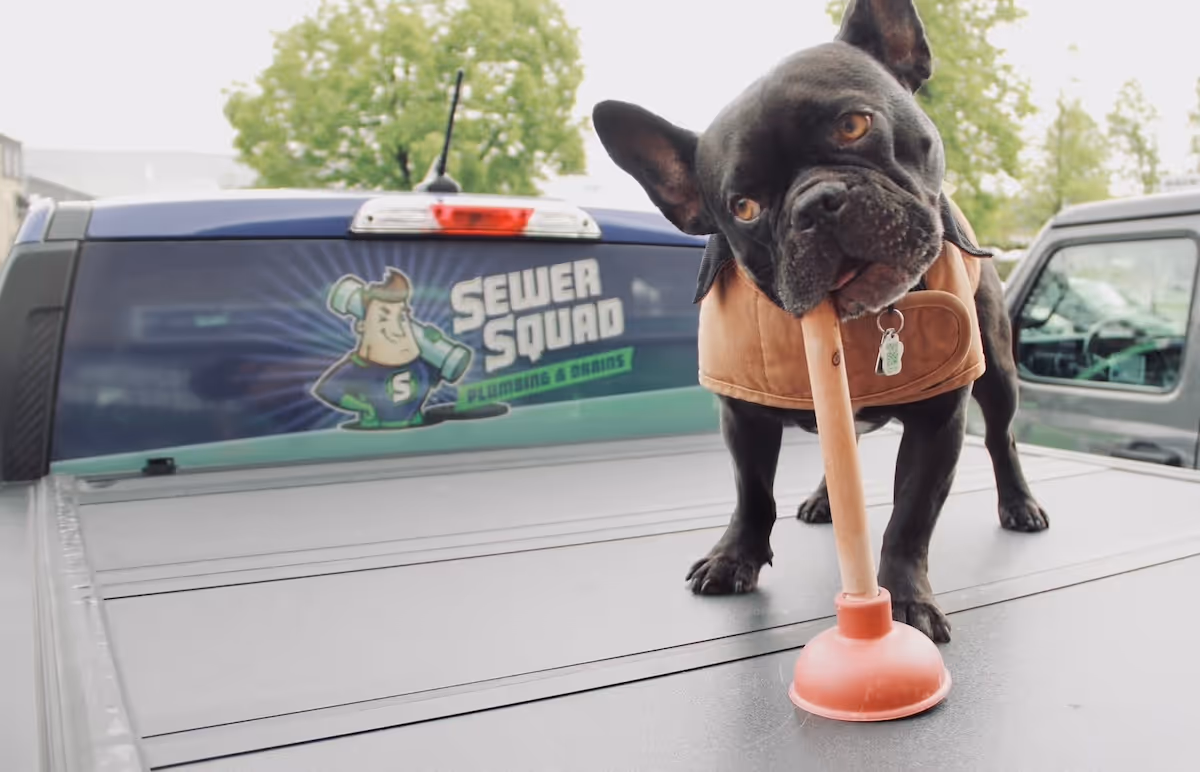 a dog chewing on a plunger on a truck