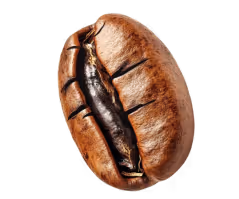 Shiny dark roasted espresso bean with bold oil texture featured in Perico Espresso Martini visuals and hero section design.