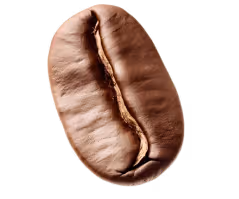 Flat top-down view of a roasted espresso bean used to highlight key ingredients on Perico’s Espresso Martini energy drink page. 