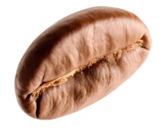 Lightly roasted espresso bean icon featured on Perico’s Espresso Martini product section to emphasize real coffee ingredients.