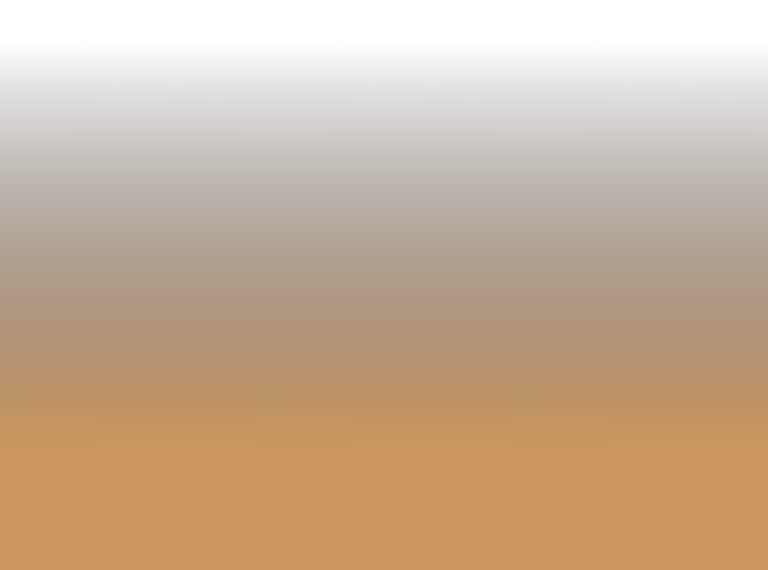 Gradient background transitioning from black at top to brown at bottom.