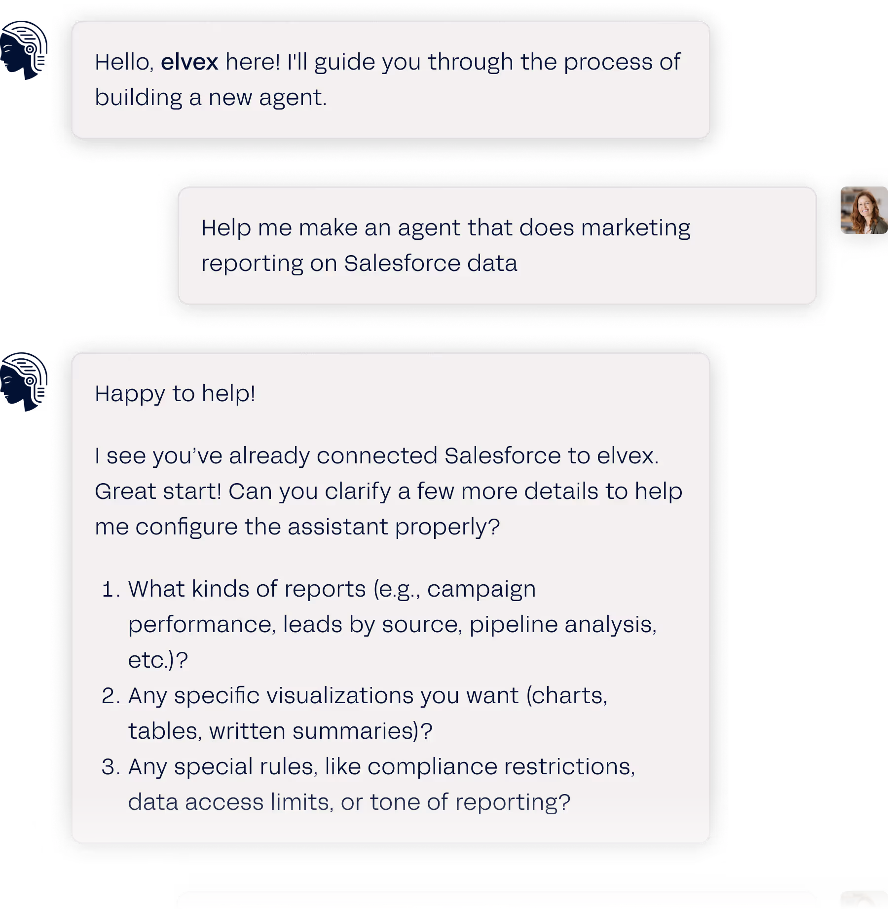 Chat interface showing a conversation where elvex offers to guide building a new agent, a user requests an agent for marketing reporting on Salesforce data, and elvex asks for details on report types, visualizations, and special rules.