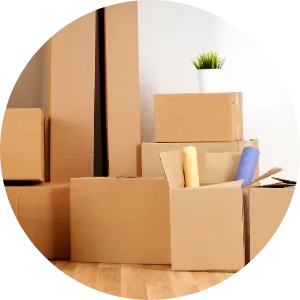Several stacked and scattered cardboard moving boxes in a bright room, with some packing paper rolled inside one box and a small green plant on top of another.