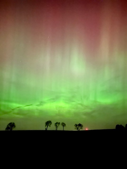 image of travel experiences