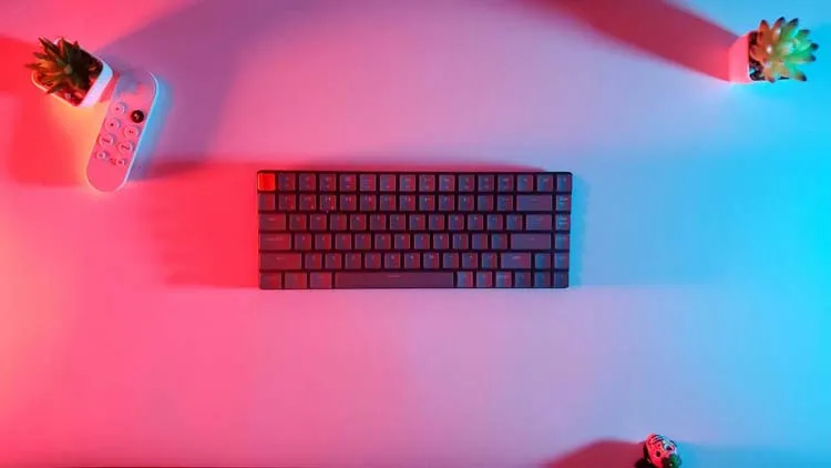 Minimalist desk setup with a compact keyboard lit by red and blue ambient lighting, flanked by small plants and a controller.