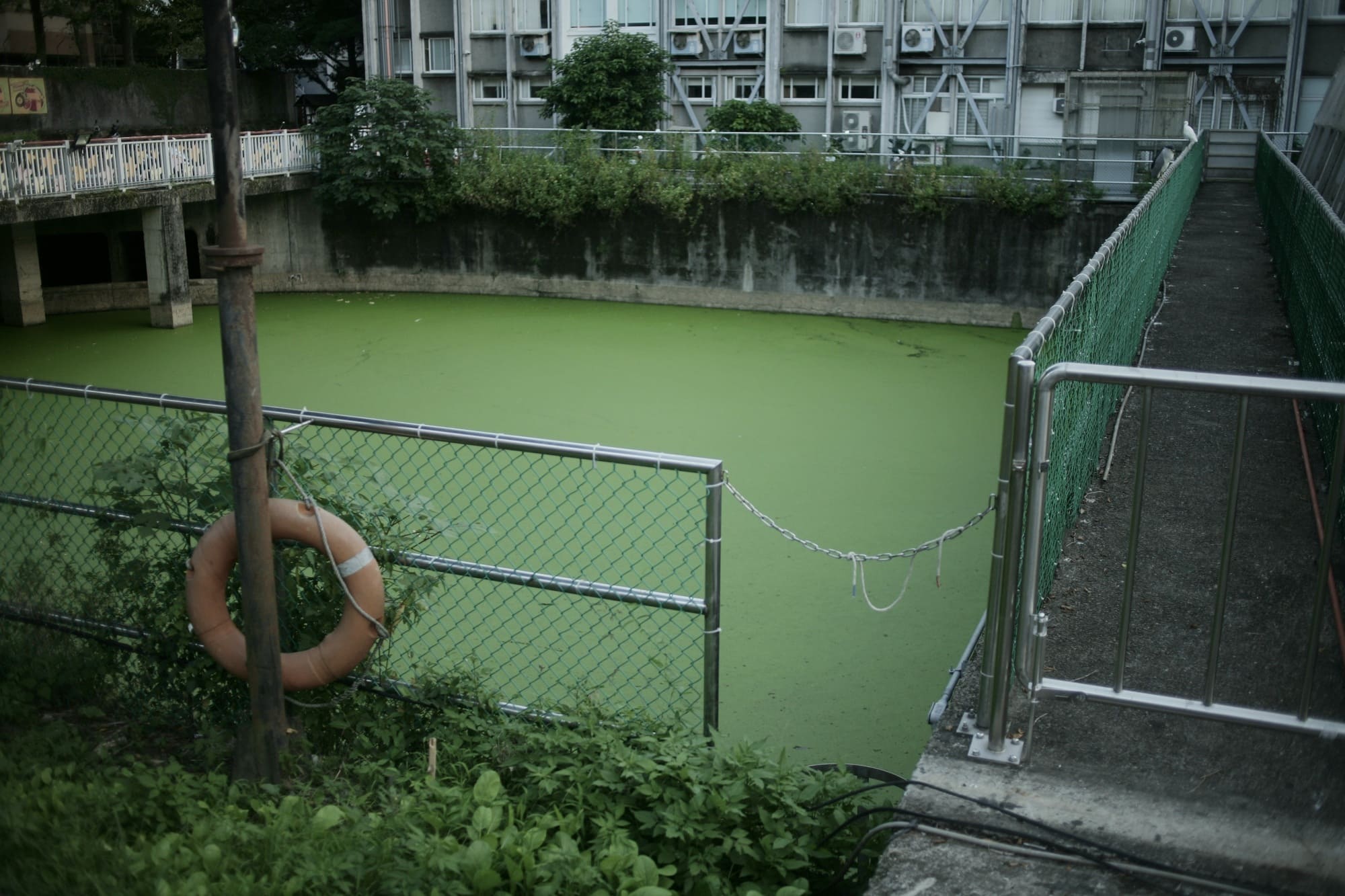 Sewer Backup