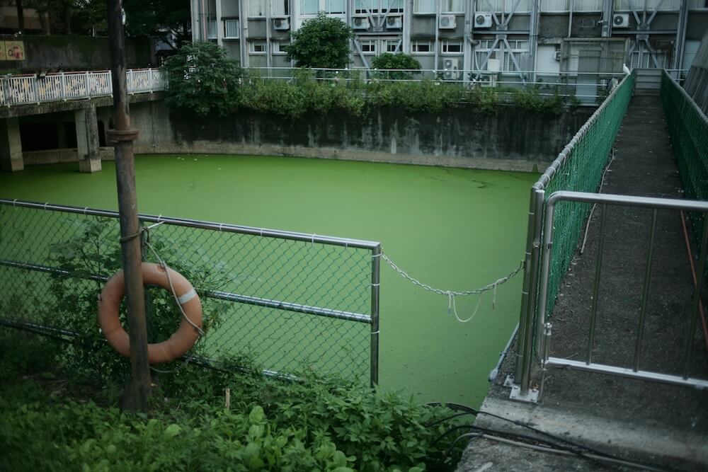 Backwater Valves