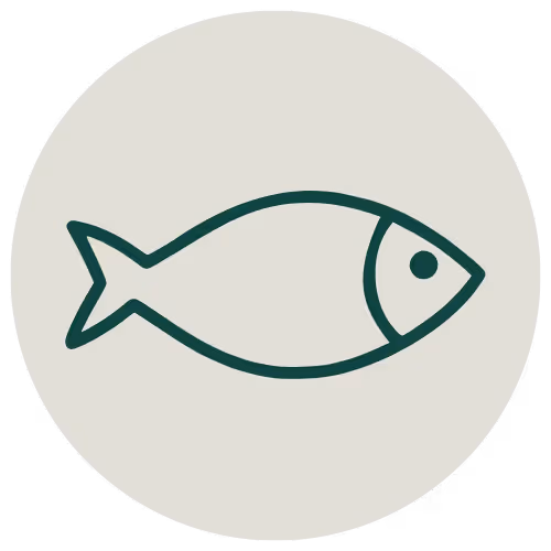 icon of a fish