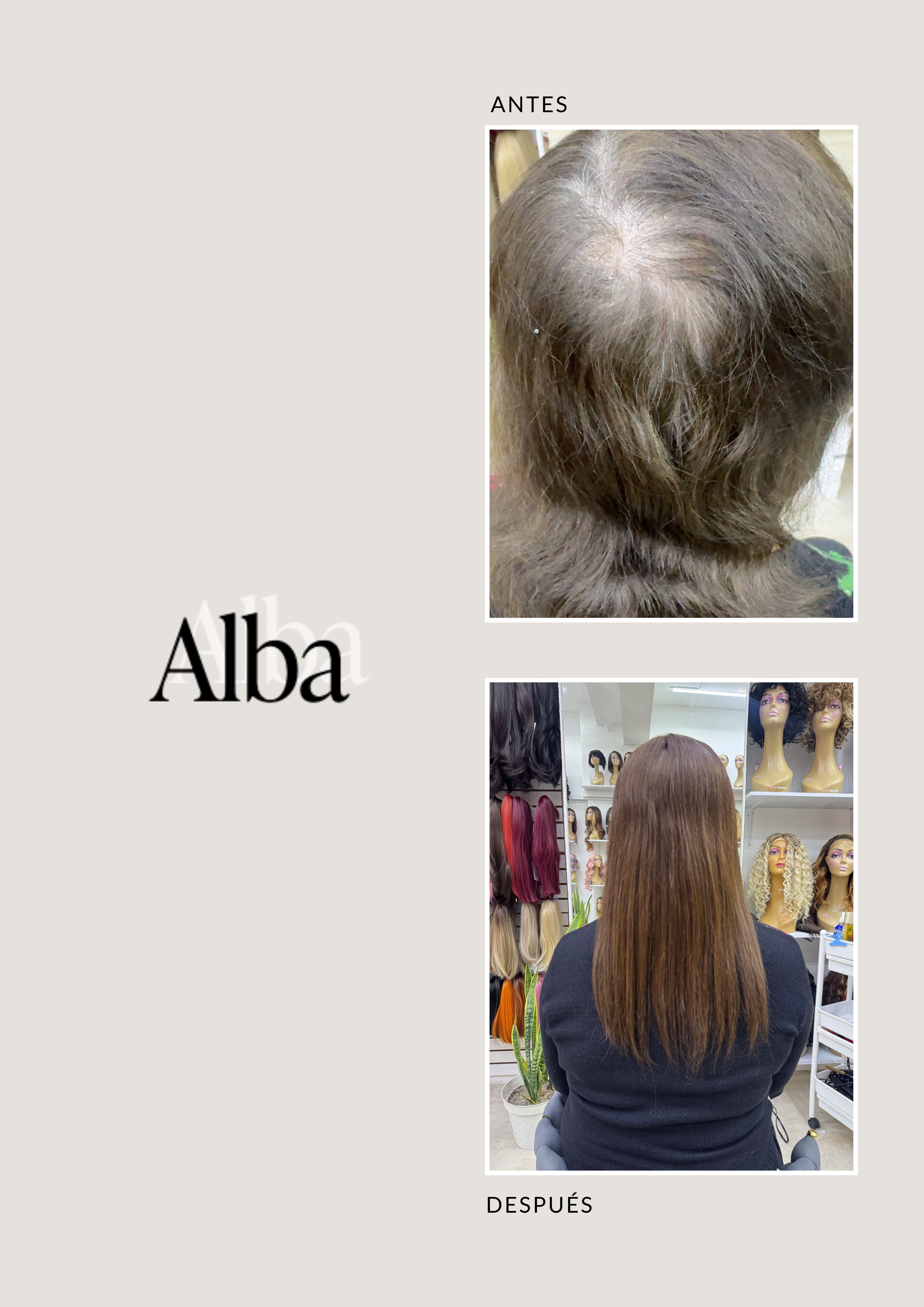 Catálogo de Pelucas Enzo Hair Society