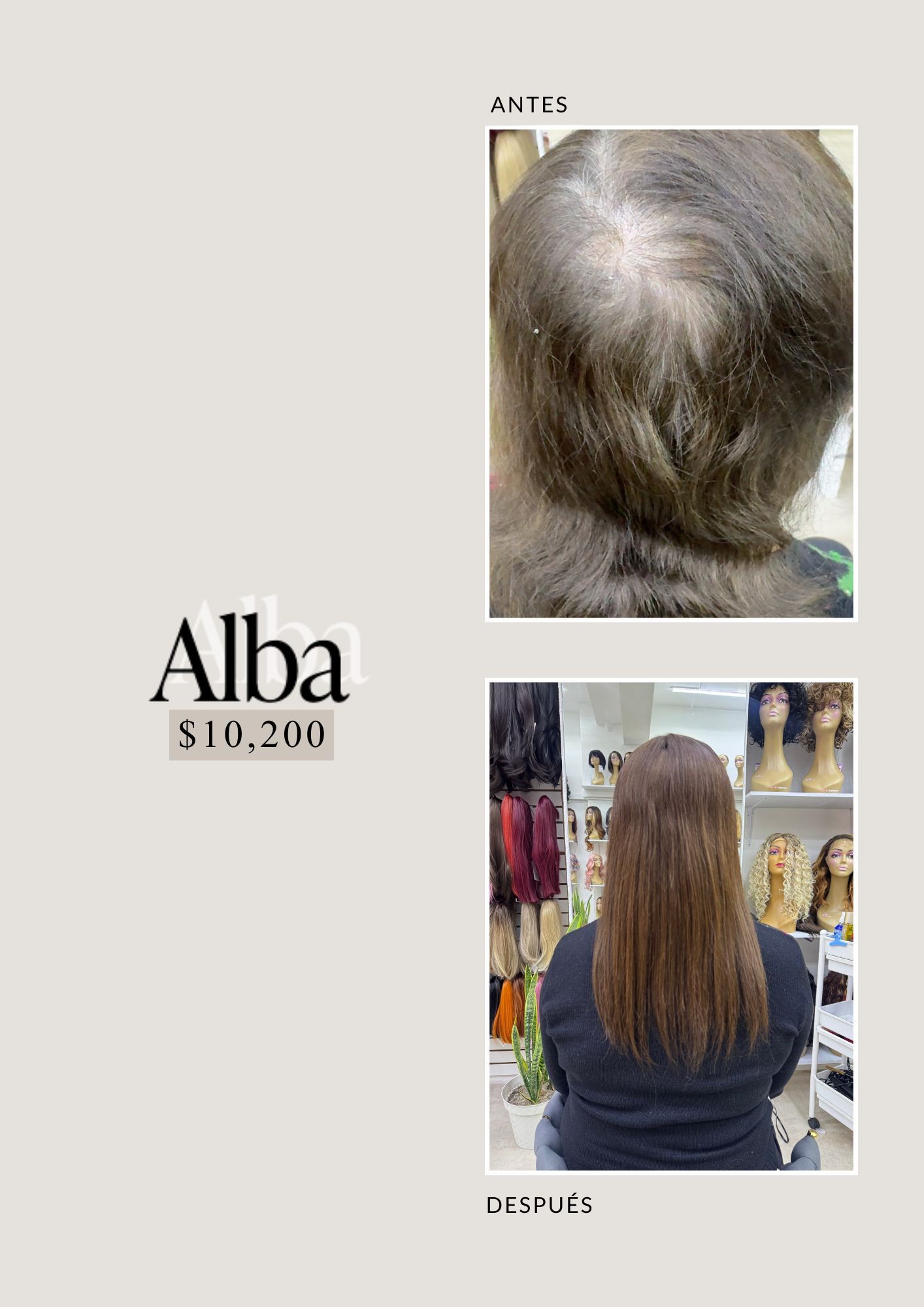 Catálogo de Pelucas Enzo Hair Society