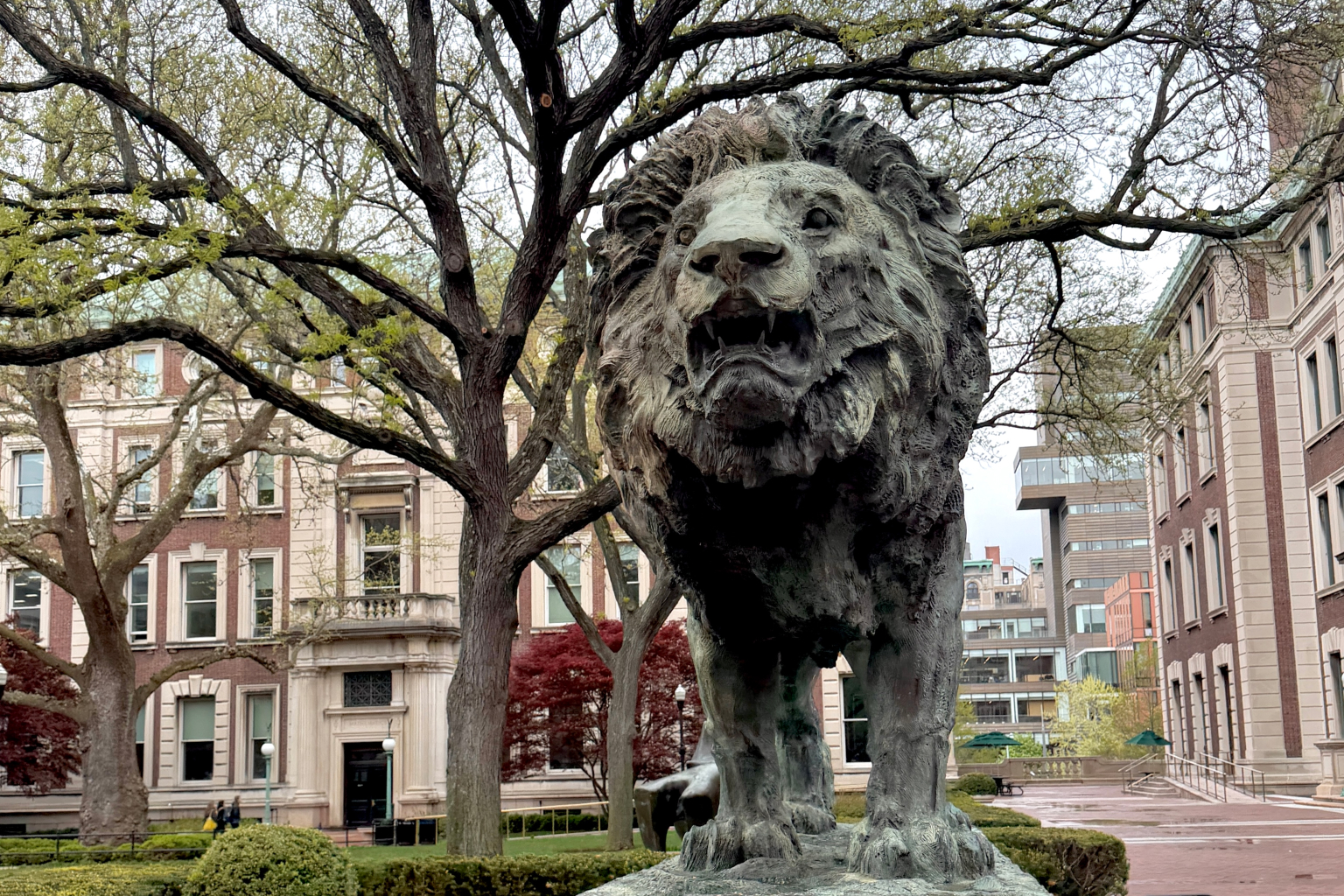 The bronze lion sculpture on Columbia's campus, with brick buildings and trees behind it