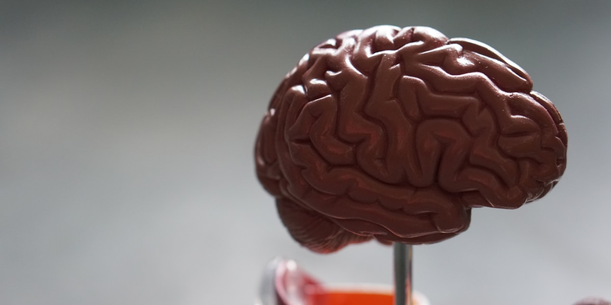 Verres progressifs opticien Plélan-le-Grand