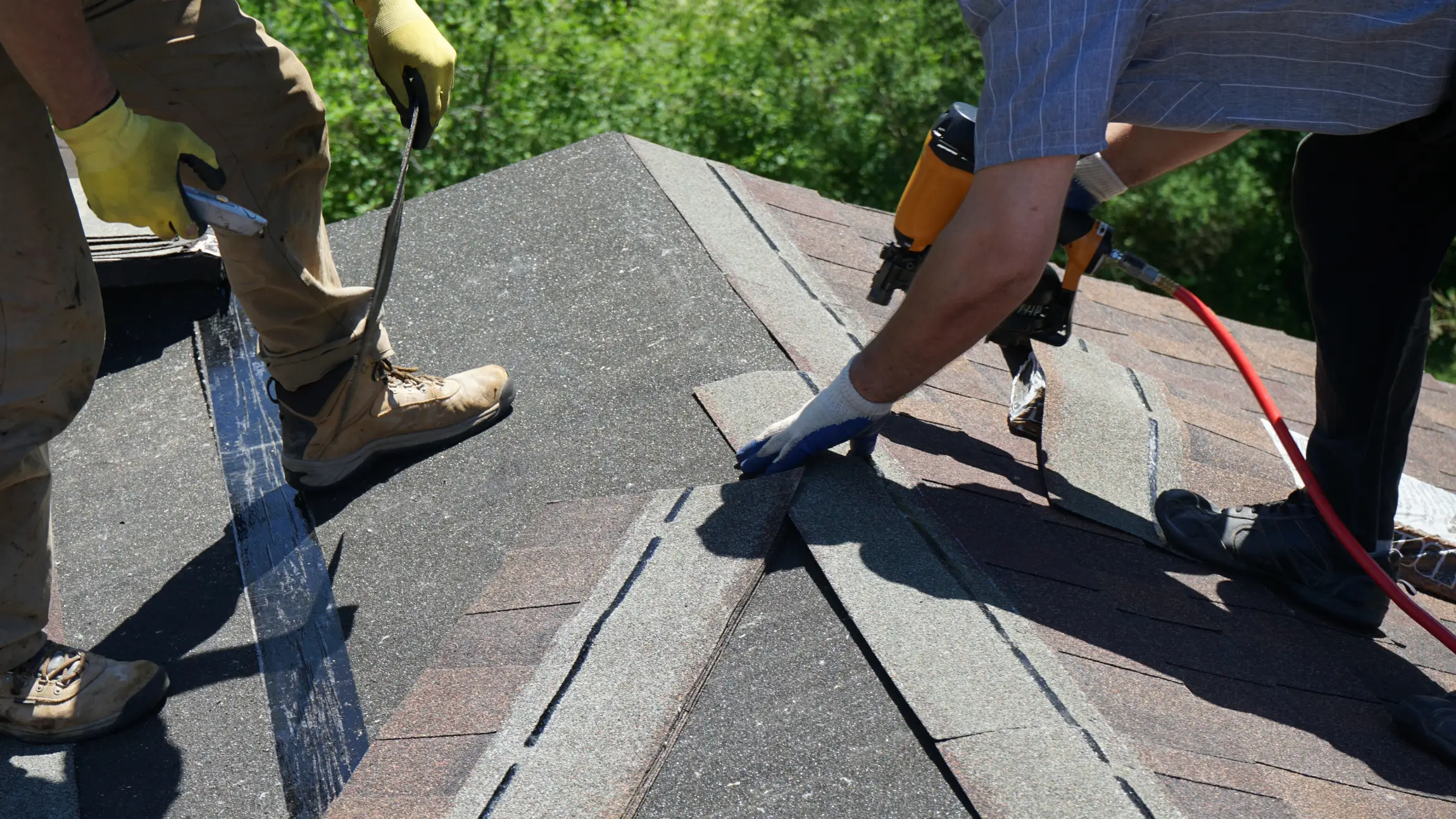 Leaf guard protection benefits