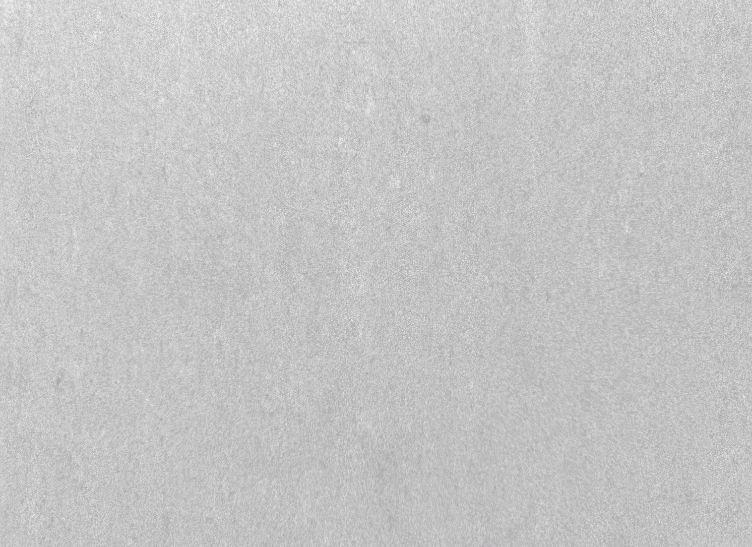 Close-up of a textured gray surface.