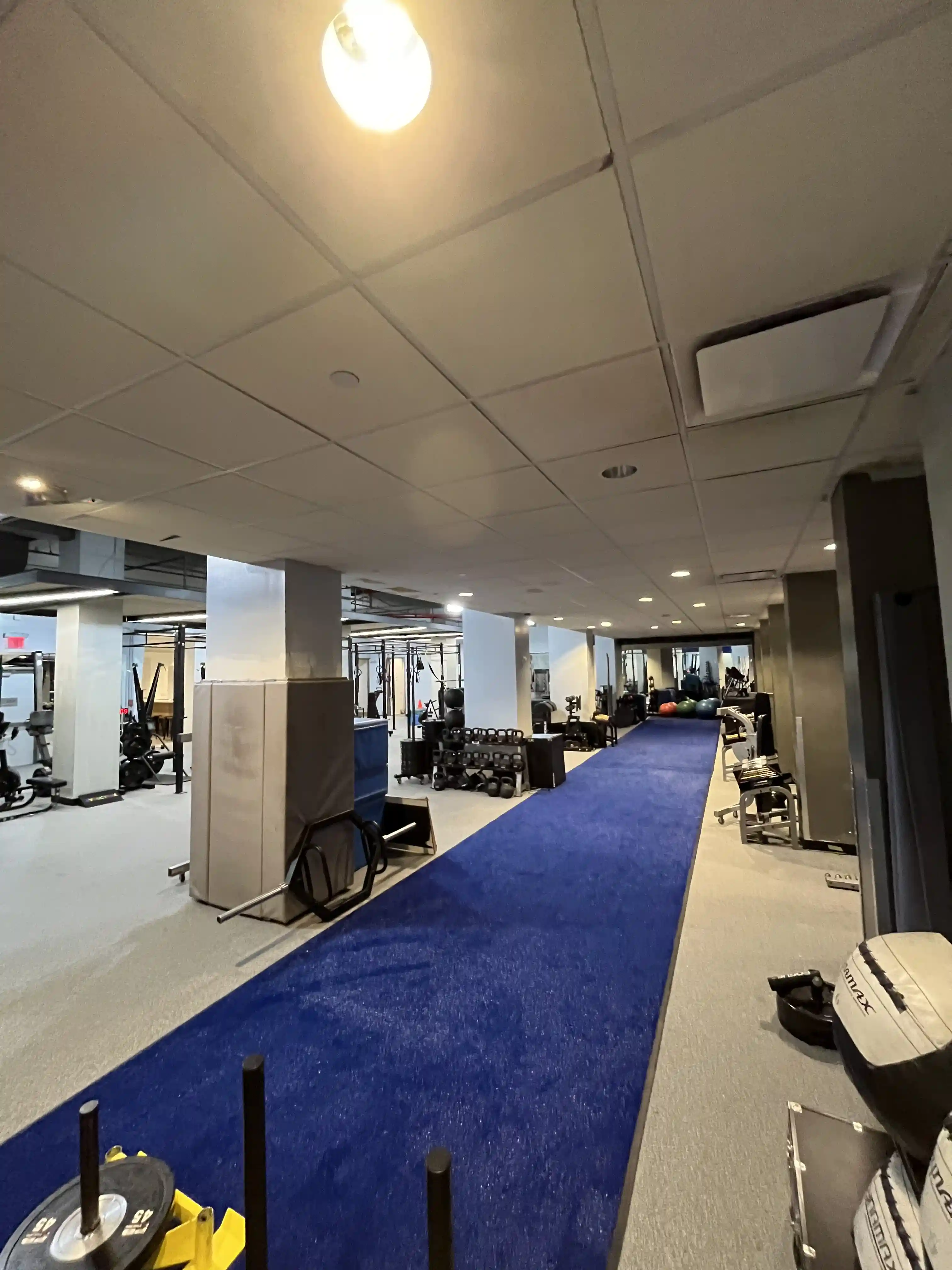Hallway view of Structure PF with blue walls and gym flooring.