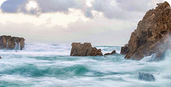 Educational Scholarships