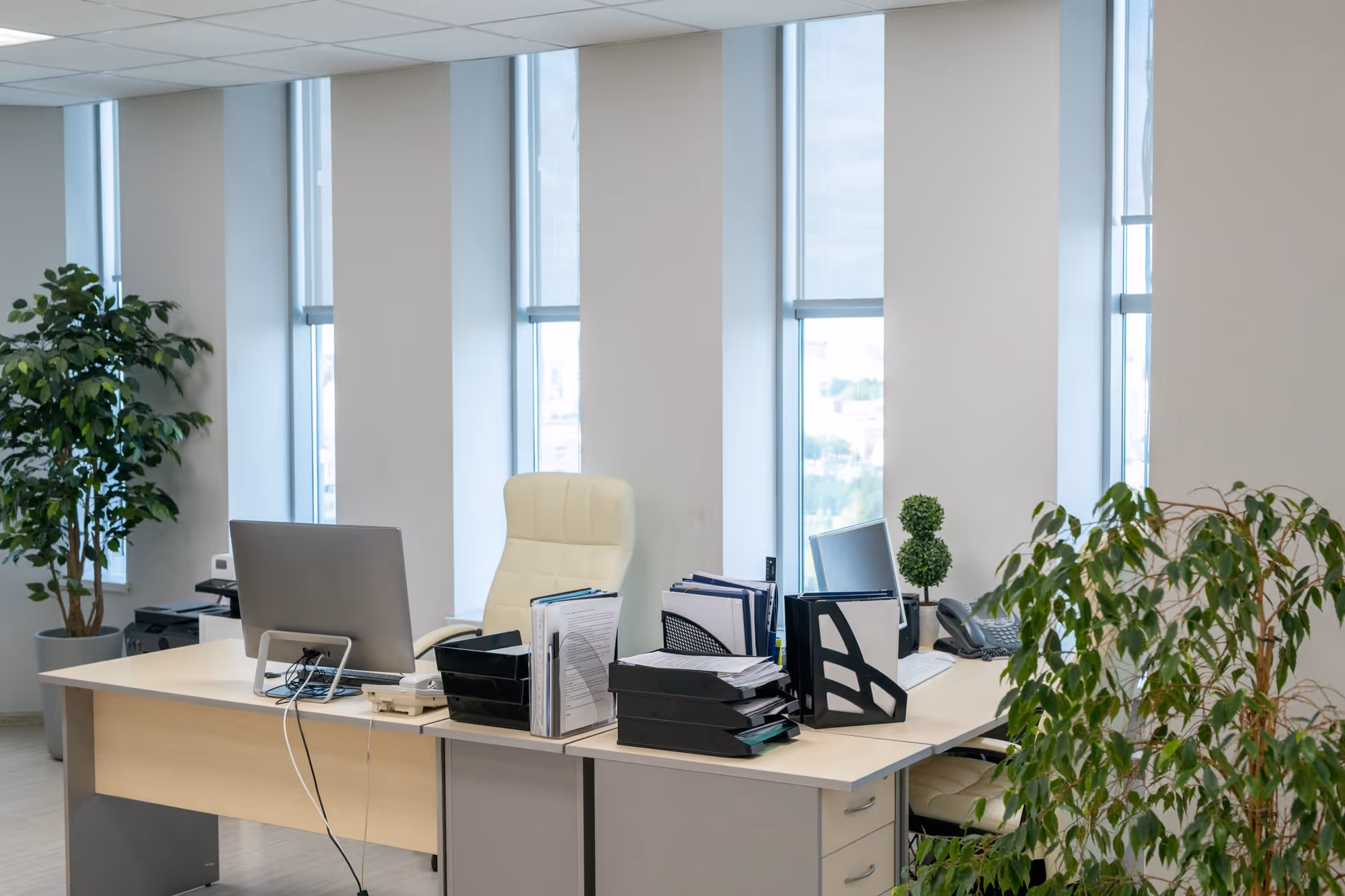 Modern office desk with computer monitors, file organizers, office chairs, and indoor plants near large windows.