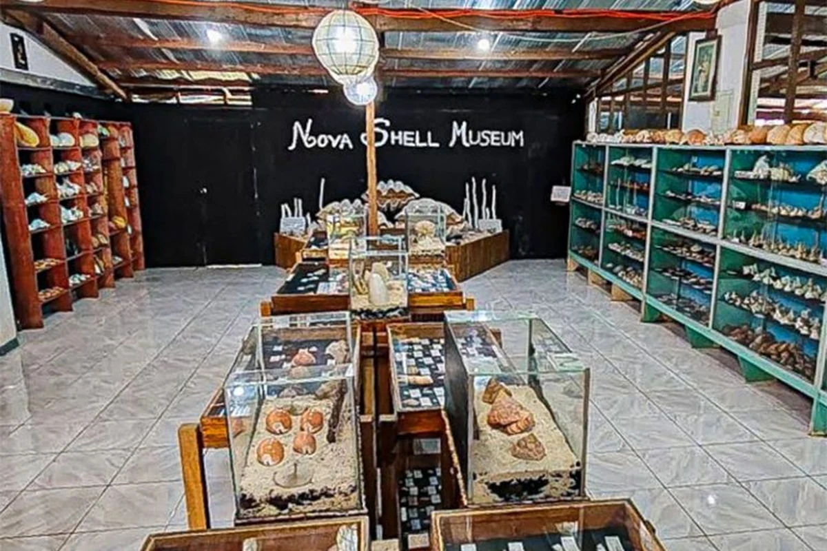 Interior of Nova Shell Museum in Panglao, Bohol