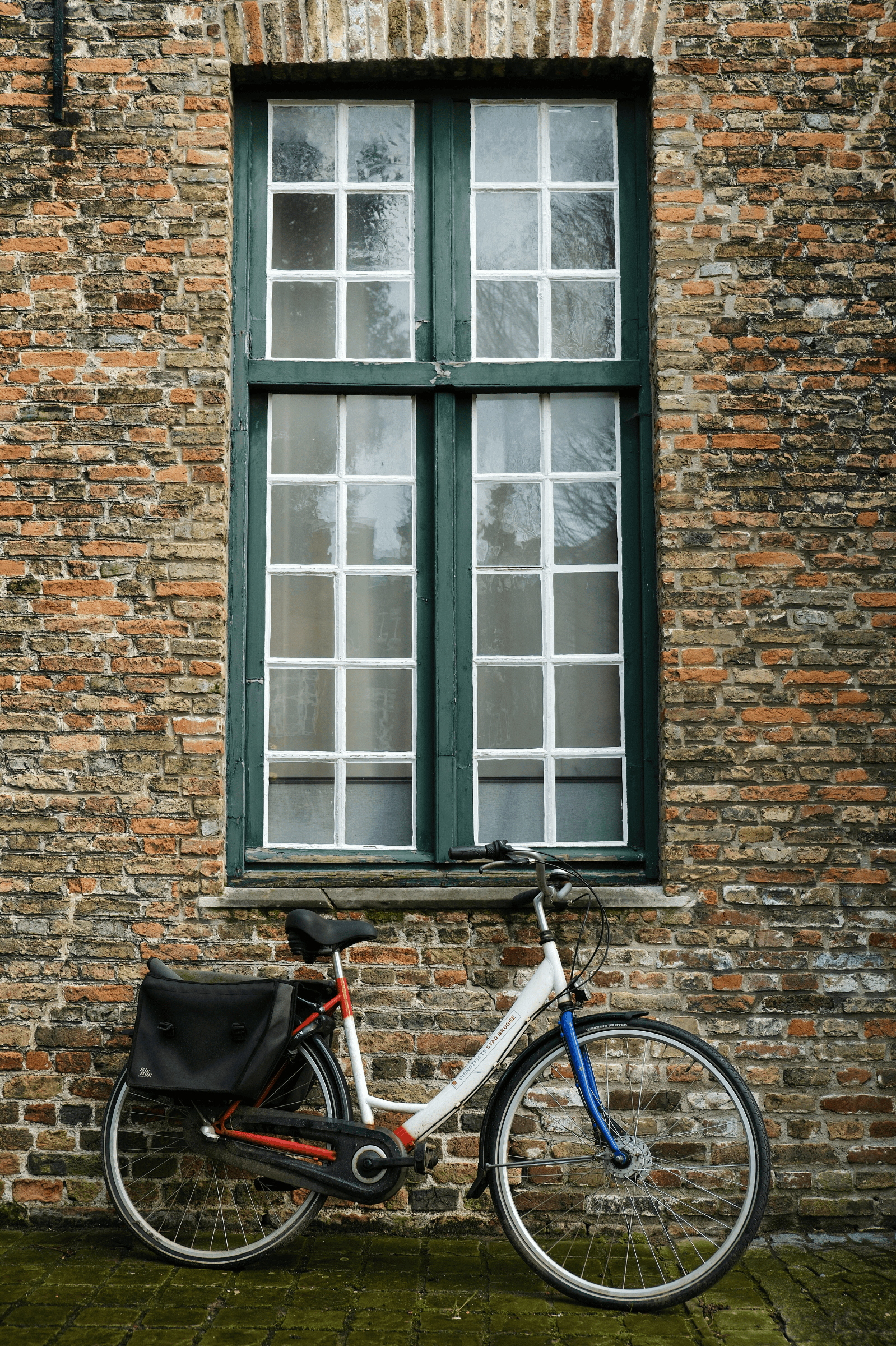 a window and a bike
