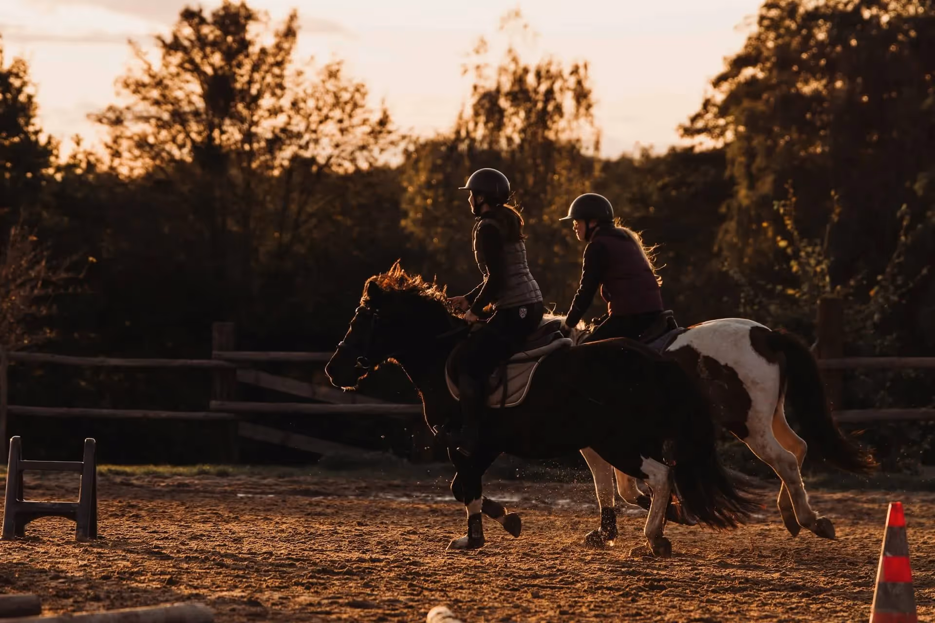 Horse running