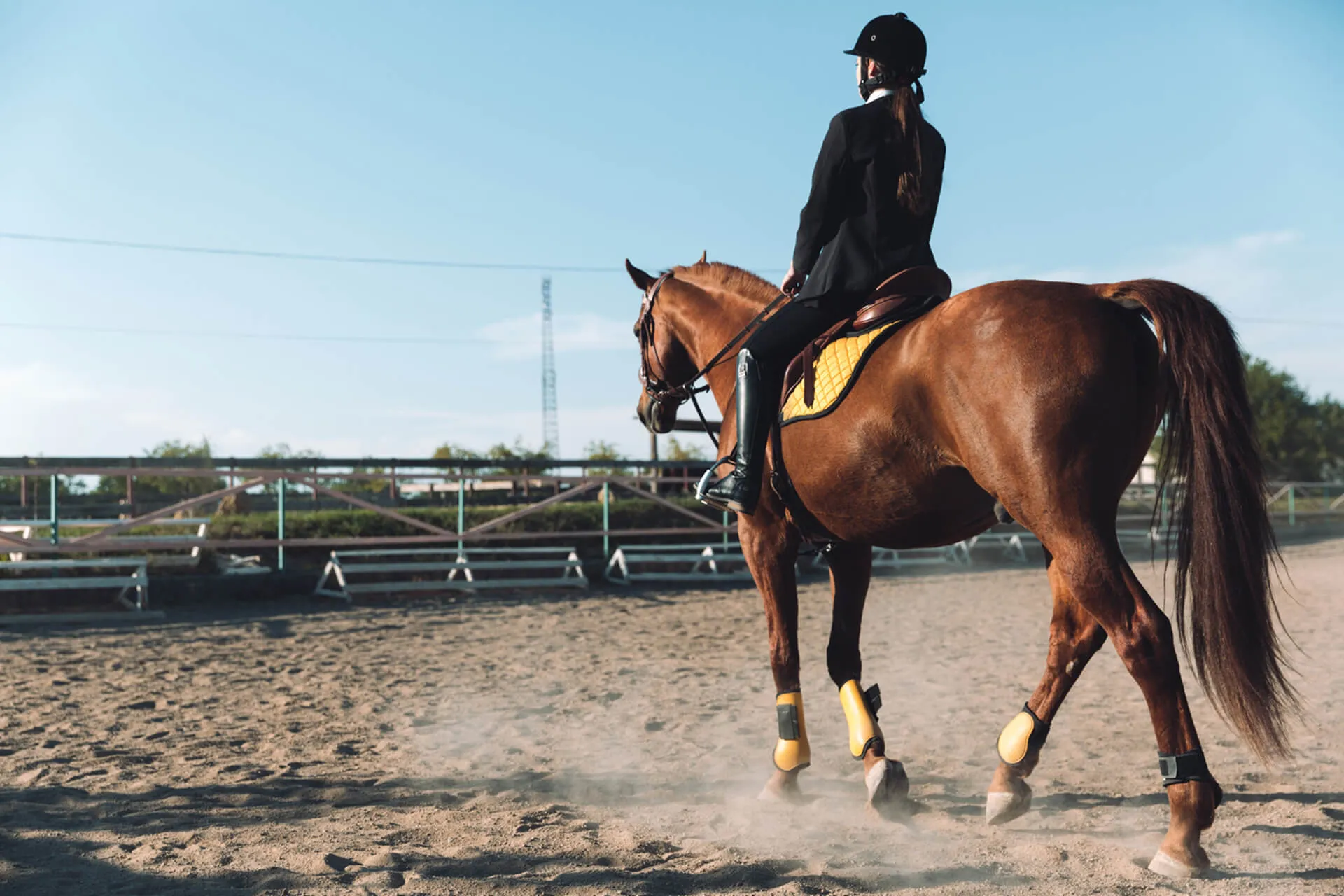 young cowgirl sitting horse outdoors