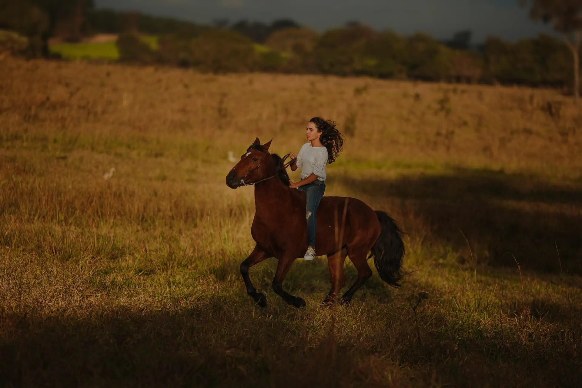 Girl with horse