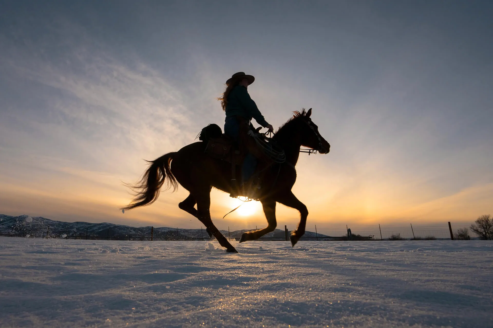horse running