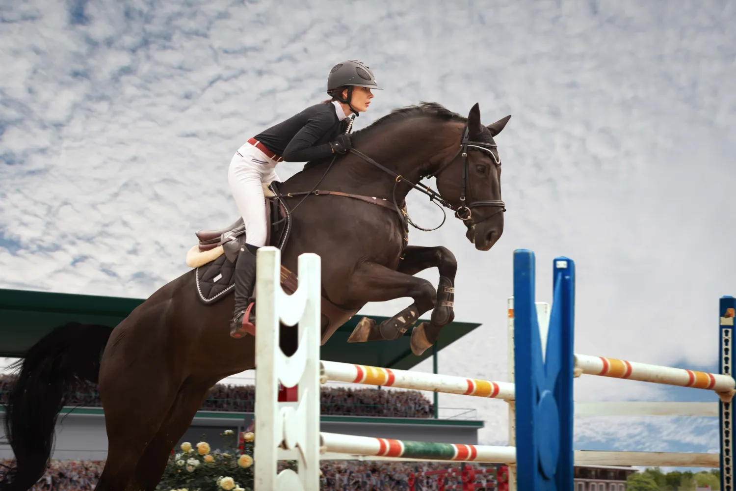 equestrian-sport young girl rides horse championship