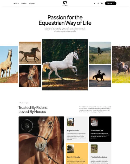 Home Pages Screenshot