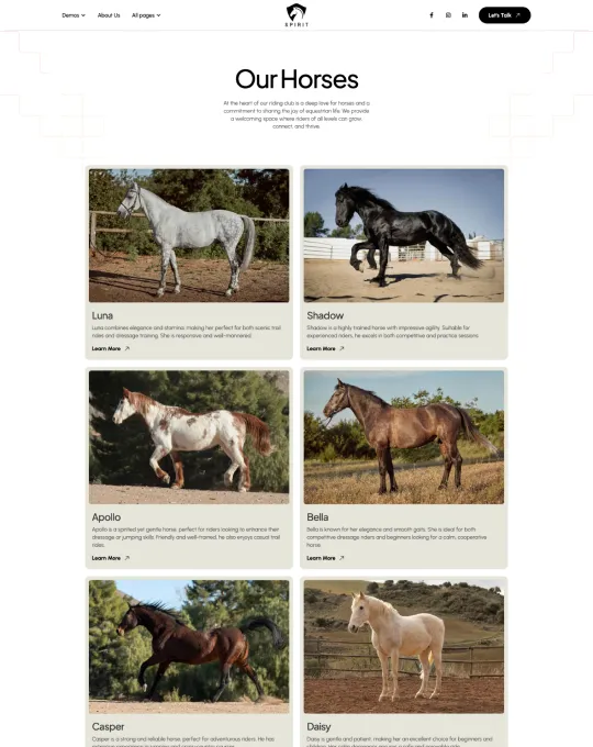 Home Pages Screenshot