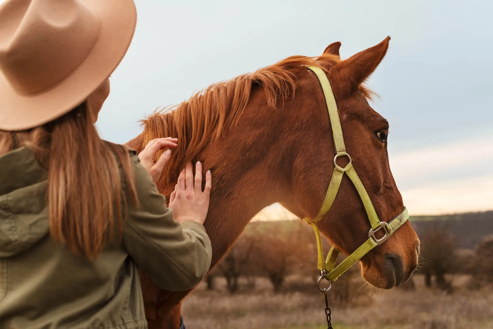 people taking-care horse farm.jpg