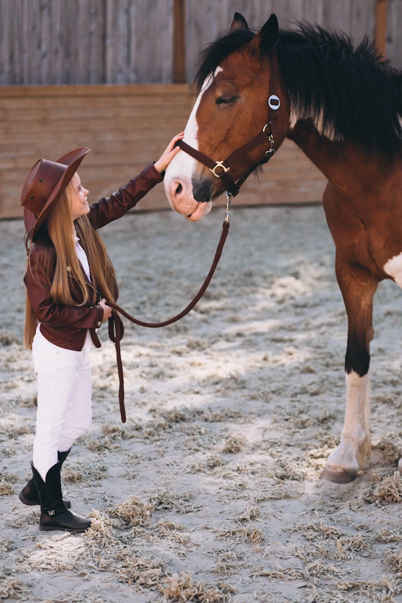 Well-Trained, Friendly and Happy Horses