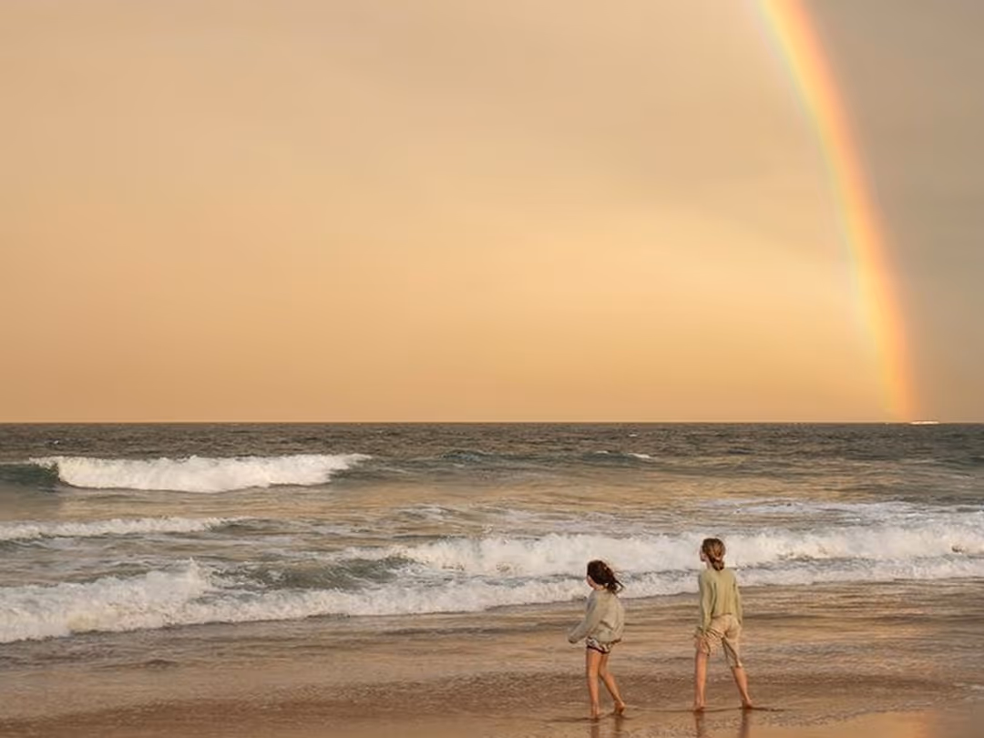 Header image