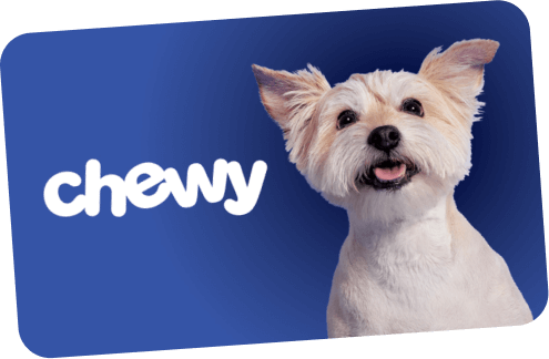 chewy gift card