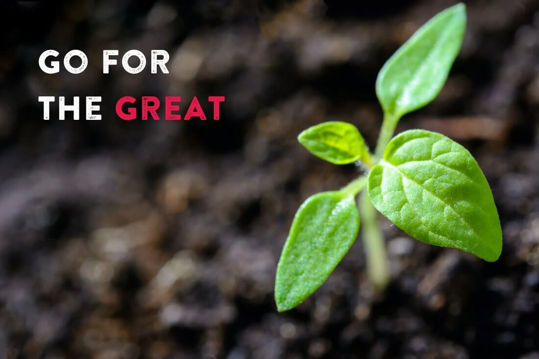 How To Identify Growth Opportunities For Your Business