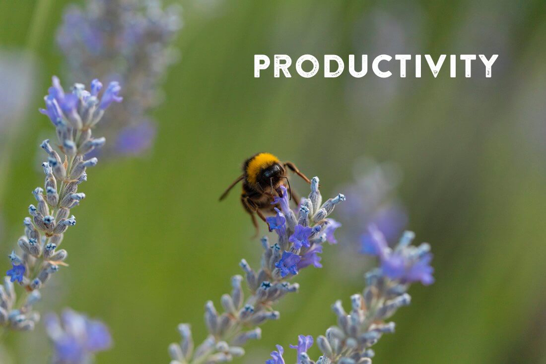 How To Boost Productivity And Reduce Stress