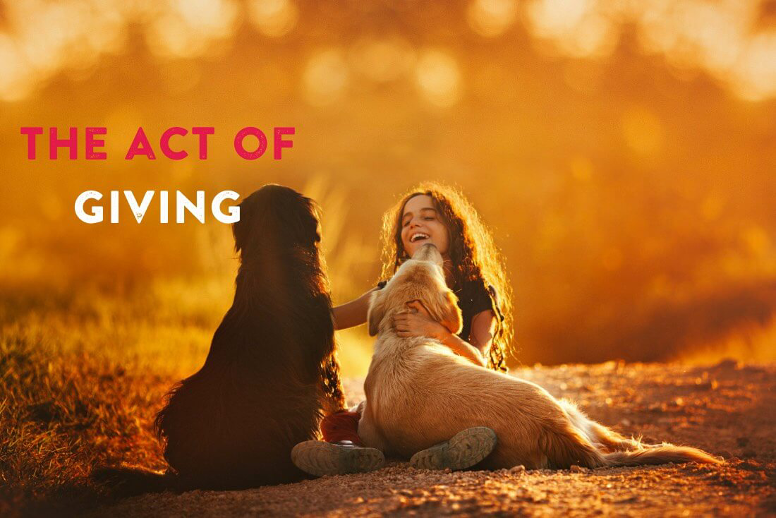 The Psychology And Physiology Of Giving